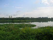 Hebbal Lake